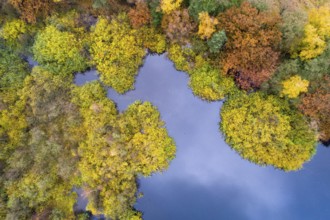 Aerial view of Ahlhorn fish ponds in autumn, Riehen, Emstek, Lower Saxony, Germany