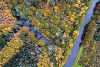 Autumn-colored trees on the Hunte, forest, autumn, Pestrup, aerial view, Wildeshausen, Lower