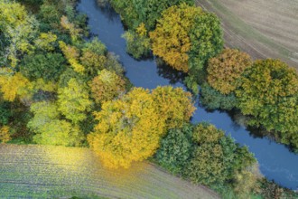 Autumn-colored trees on the Hunte, forest, aerial view, Westrittrum, Großenkneten, Lower Saxony,