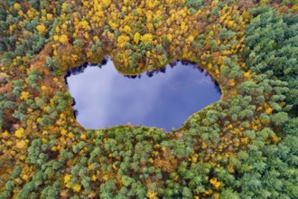 Diana See, Ahlhorner Fischteiche, Hoheging, Ahlhorn, Lower Saxony, Germany