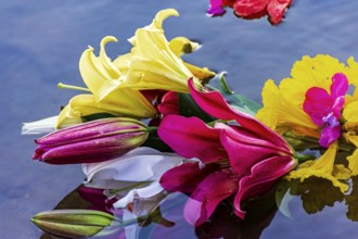 Flowers floating in the water after being offered to Iemanja