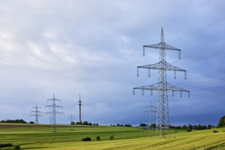 Landscape, high-voltage pole, high-voltage line, fields, trees, bushes, cloudy, sunny,