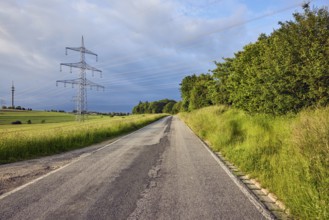 Landscape, road, high-voltage line, high-voltage mast, fields, trees, bushes, meadow, cloudy,