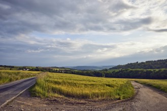 Landscape, hills, hilly landscape, confluence, dirt road, fields, cornfield, trees, meadow, haze,