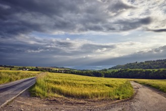 Landscape, hills, hilly landscape, confluence, dirt road, fields, cornfield, trees, meadow, haze,