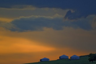 Mongolian yurts next to a single tree against an orange evening sky at sunset in the steppe,