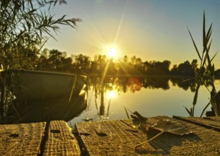 Canoe at sunset lying on the reed edge of a lake in front of a wooden jetty covered with single