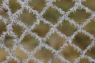 White ice crystals hang on chain link fence with colorful autumn colors in the background after an