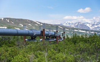 Alaska Pipeline Oil Pipeline, Alaska Range, Richardson Highway, Alaska, USA
