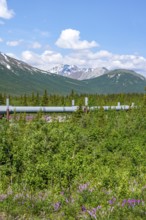 Alaska Pipeline Oil Pipeline, Alaska Range, Richardson Highway, Alaska, USA