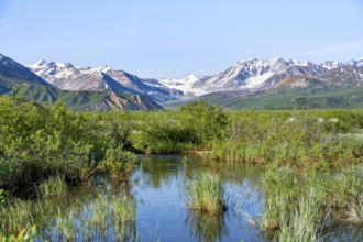 Stream and picturesque mountain landscape with Gulkana glacier and summit Icefall Peak, Richardson