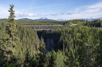 Historic Kuskulana Bridge, McCarthy Highway, Wrangell St. Elias National Park, Alaska, USA