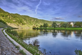 Landscape, landscape photography, Moselle river, riverbank, hill, hilly landscape, forest, trees,