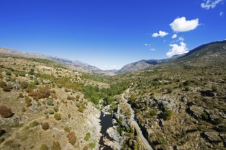 Golo River in Corsica Regional Natural Park, Calacuccia, Corte Arrondissement, Haute-Corse