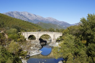 Genoese bridge Ponte au Larice d'Altiani, Corte Arrondissement, Haute-Corse Department, Corsica,