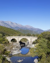 Genoese bridge Ponte au Larice d'Altiani, Corte Arrondissement, Haute-Corse Department, Corsica,
