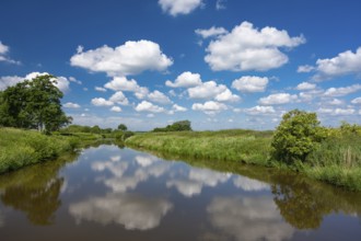 Trenches in the Bornhorster Huntewiesen nature reserve on the Hunte in the Wesermarsch, Oldenburg,
