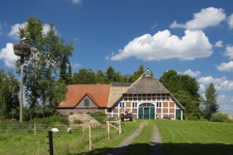 Farmhouse in Moordorf in der Wesermarsch, Moordorf, Elsfleth, Lower Saxony, Germany