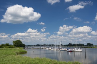 Yachthafen an der Hunte near Elsfleth, Elsfleth, Lower Saxony, Germany