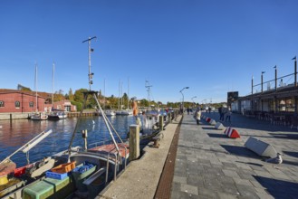 Harbour, harbour basin, wharf, ships, fishing trawlers, sailboats, duckdalves, general