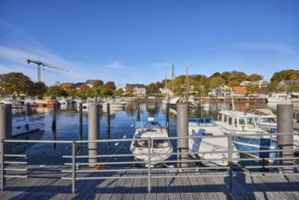 Harbour, quay, jetty, motor boats, duckdalbes, harbor basin, general architecture, crane, trees,