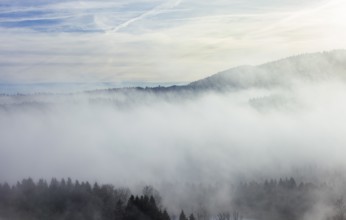 Autumn landscape, trees rising from the fog, inversion weather, Mondseeland, Salzkammergut, Upper