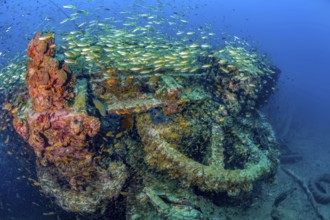 Underwater photo Large cog and parts of former sunken tin excavator Boonsung wreck off the coast of