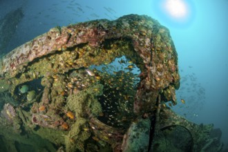 Underwater photo parts of former sunken tin excavator Boonsung wreck off the coast of seaside