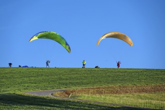 Paragliders on a hillside meadow, blue sky, Tauchersreuth, Middle Franconia, Bavaria, Germany