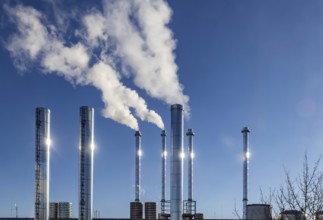 Smoking chimneys. Stainless steel fireplaces Symbolic photo. Böblingen, Baden-Württemberg, Germany
