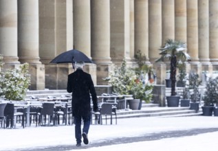 Winter in Stuttgart. There is a closed blanket of snow in the city center. Palm trees and other