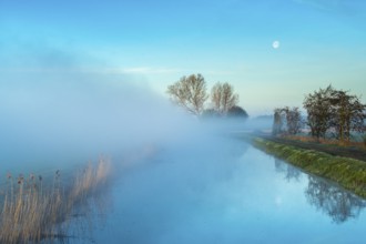River Lohne at daybreak with fog, Dümmer, Lembruch, Lower Saxony, Germany
