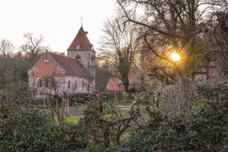 St. Firminus Church in Dötlingen, 1000 year old oak tree, Wildeshausener Geest, Dötlingen, Lower