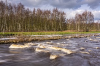 Traffic jam with waves in the Hunte near Bühren, Fischtreppe, Bühren, Wildeshausen, Lower Saxony,