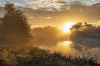 Pond at sunrise, Ahlhorn fish ponds, Ahlhorn, Lower Saxony, Germany