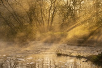 Fish ladder at sunrise with light rays on the Hunte near the weir in Bühren, Colnrade, Bühren,