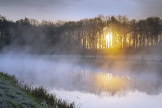 Daybreak on the Hunte with fog, sunrise, Colnrade, Bühren, Lower Saxony, Germany