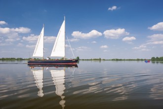 Sailing boat on Dümmer See, Oldenburger Münsterland, Dümmerlohhausen, Lower Saxony, Germany