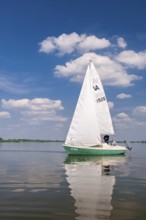 Sailing boat on Dümmer See, Oldenburger Münsterland, Dümmerlohhausen, Lower Saxony, Germany