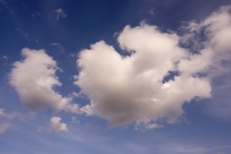 Wolekn moving against a blue sky, Dümmer See, Hüde, Lower Saxony, Germany