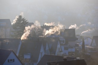 Quiet village view with smoking chimneys in the morning winter light, symbolic image, fireplaces,