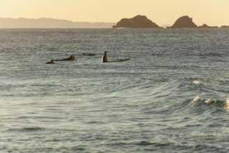 Evening light at Cape Byron with surfers near waves and Julian Rocks Nguthungulli Nature Reserve,