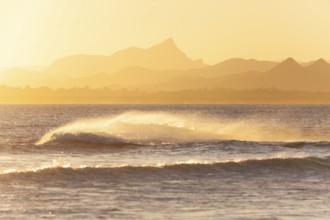 Evening light at Cape Byron with view to Mount Warning and sunlit hinterland, New South Wales,
