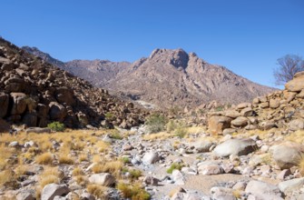 Hiking to White Lady, Dry Mountain Landscape, Tsisab Gorge, Brandberg, Erongo, Namibia