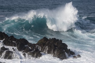 Waves on the ocean off Madeira, Porto Moniz, Madeira, Portugal