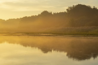 Sunrise with fog on a lake at the Ahlhoner fish ponds, Ahlhorn, Lower Saxony, Germany