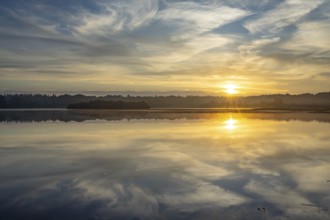 Ahlhonrer fish pond with fog at daybreak, fog, reeds, sunrise, Ahlhorn, Lower Saxony, Germany