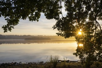 Ahlhonrer fish pond with fog at sunrise, fog, Ahlhorn, Lower Saxony, Germany