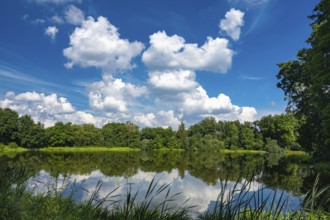 Forest lake with cumulus clouds near the Ahlhonrer fish ponds, Ahlhorn, Lower Saxony, Germany
