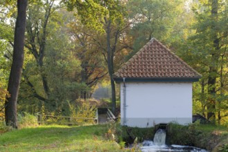 Autumn in the Ahlhorn Fish Ponds Nature Reserve of the Lower Saxony State Forests, Ahlhorn, Lower